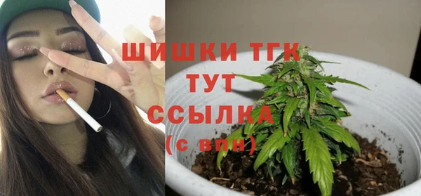 Альфа ПВП Горняк