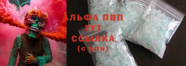 Альфа ПВП Горняк