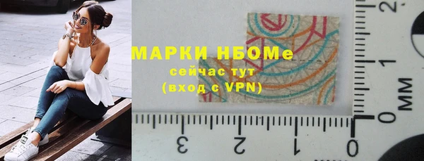 Альфа ПВП Горняк