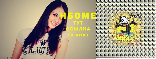 твердый Горнозаводск
