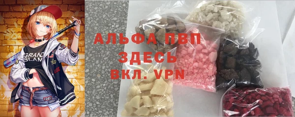 Альфа ПВП Горняк