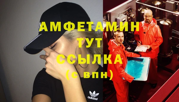 Альфа ПВП Горняк