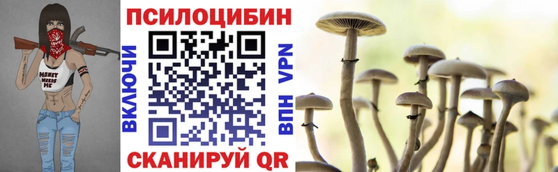 продажа наркотиков  Дубна  Псилоцибиновые грибы ЛСД 